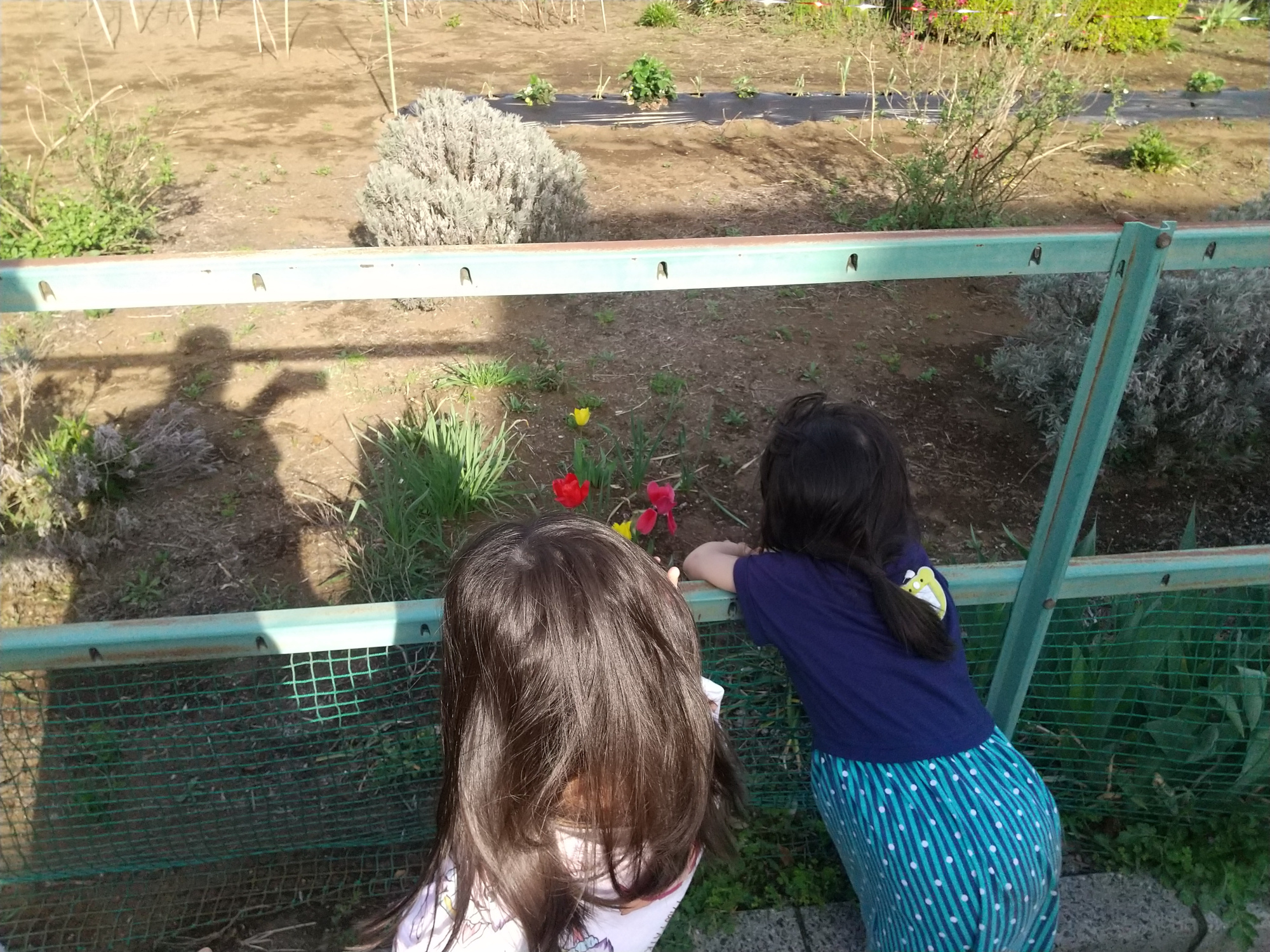 花を眺める子どもたち