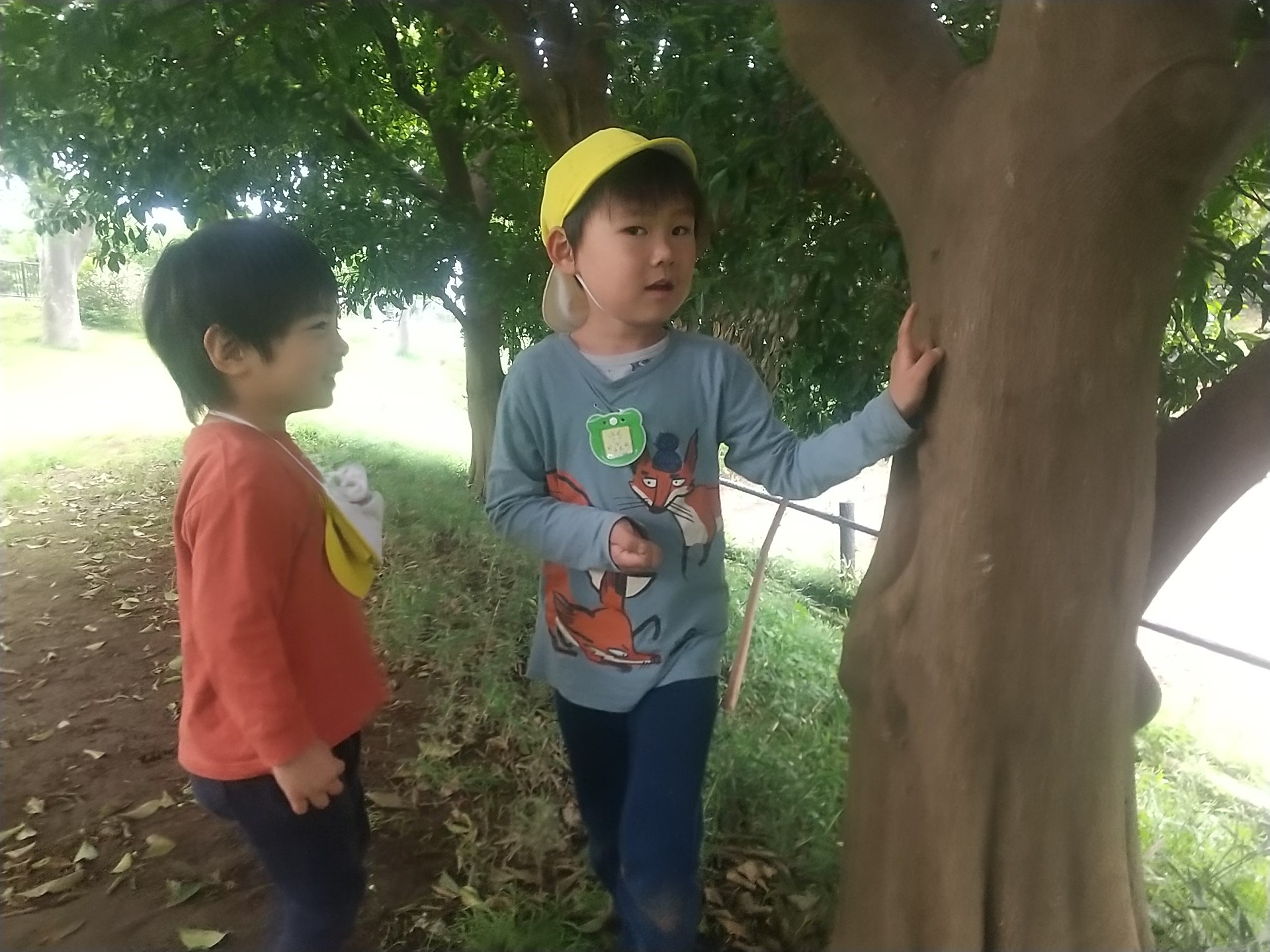 虫木に登るダンゴムシを観察する子どもたち