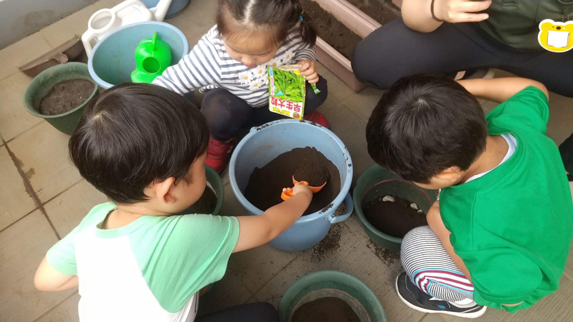 プランターに枝豆の種を植える子どもたち
