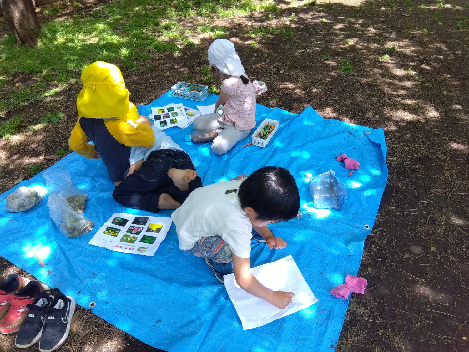 公園でレジャーシートの上で植物の絵を描く子どもたち