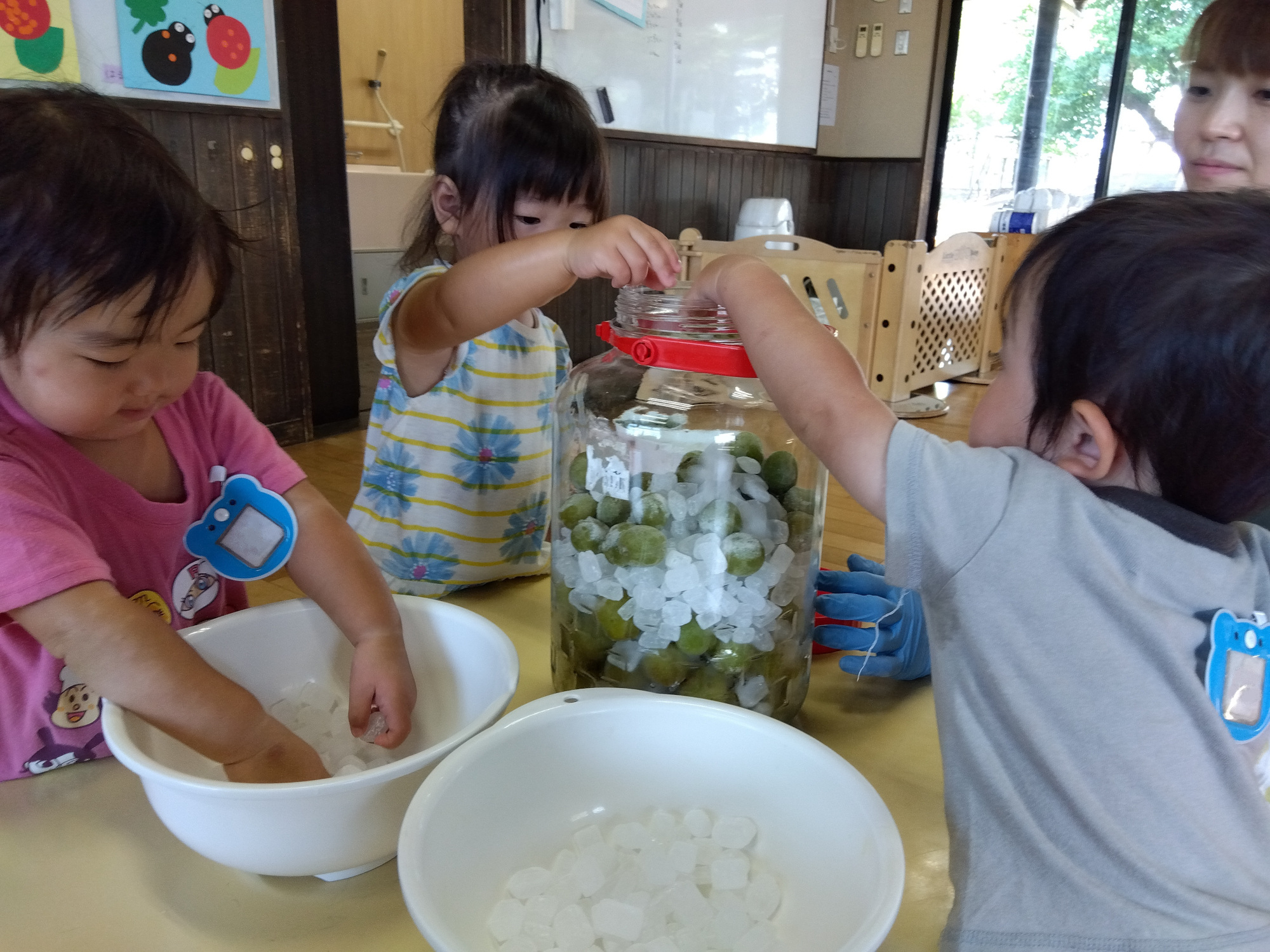 梅と氷砂糖を瓶につめていく子どもたち