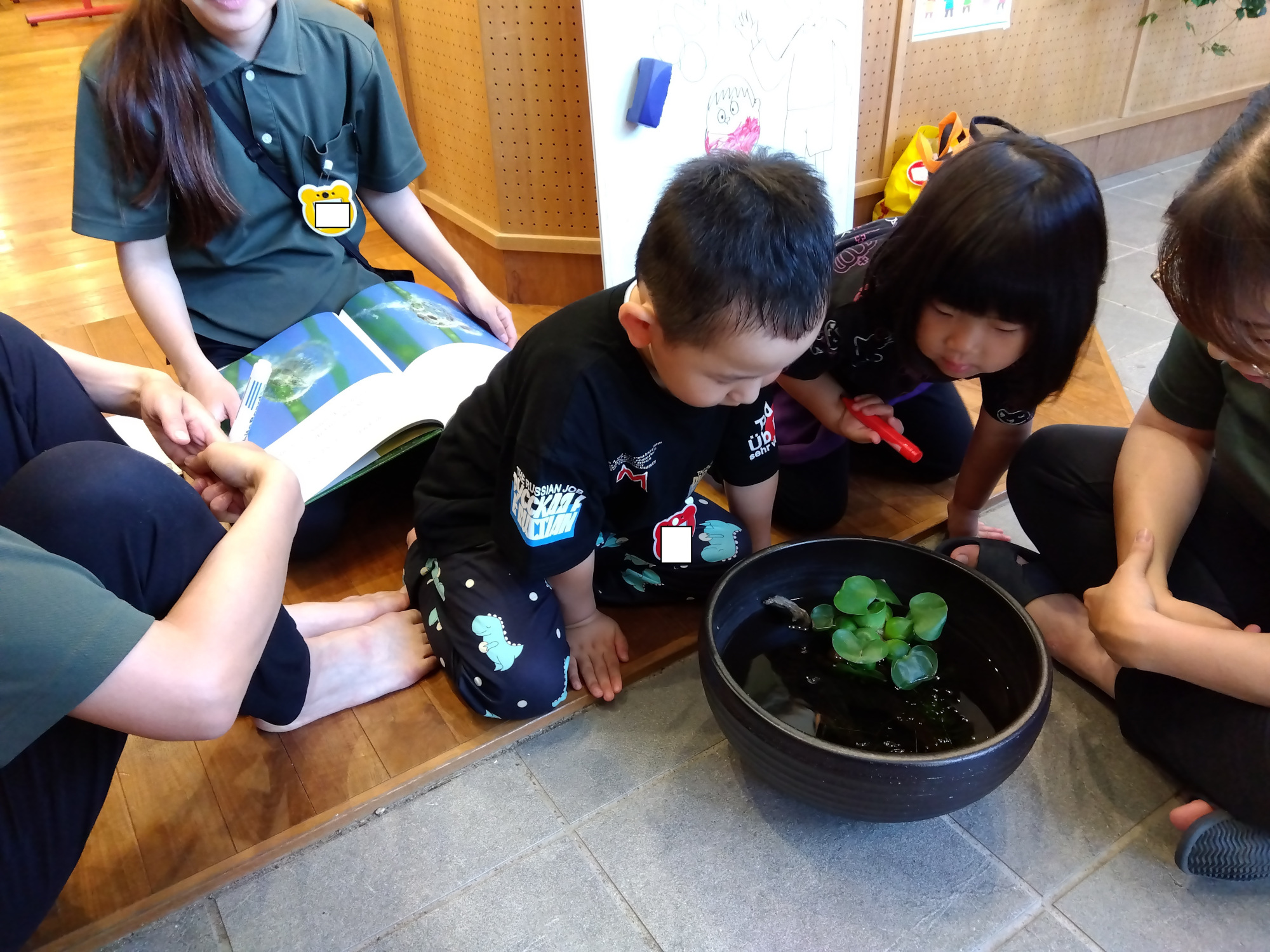 水槽をながめる子どもの様子