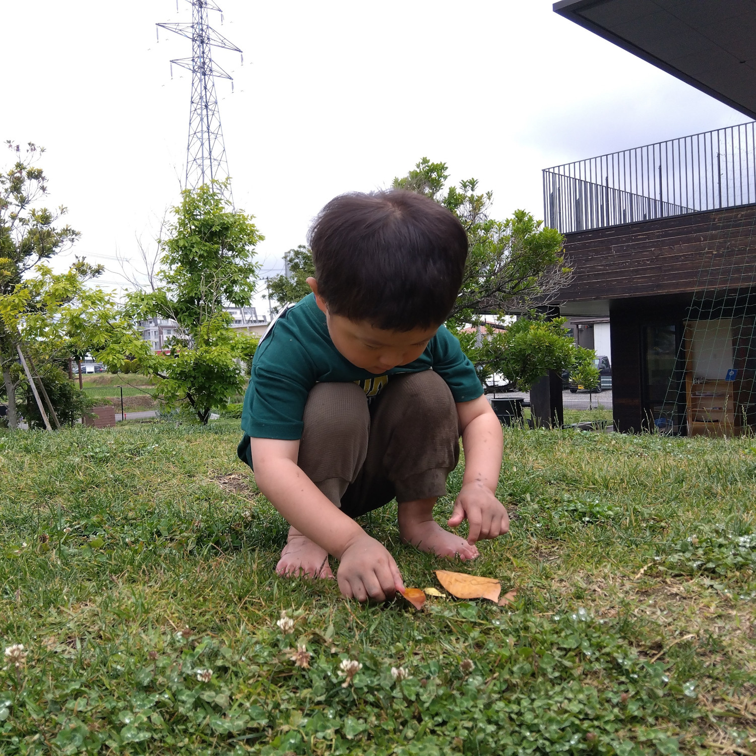 園庭で葉っぱを並べる子ども