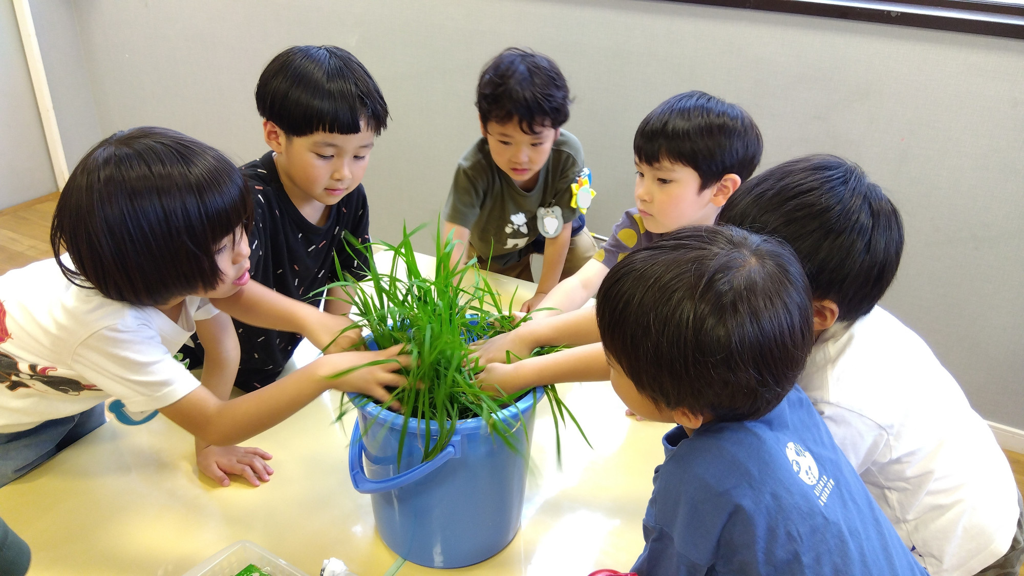 稲に触れる子どもたちの様子