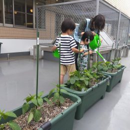 発達支援つむぎ 田無「初！野菜の収穫」