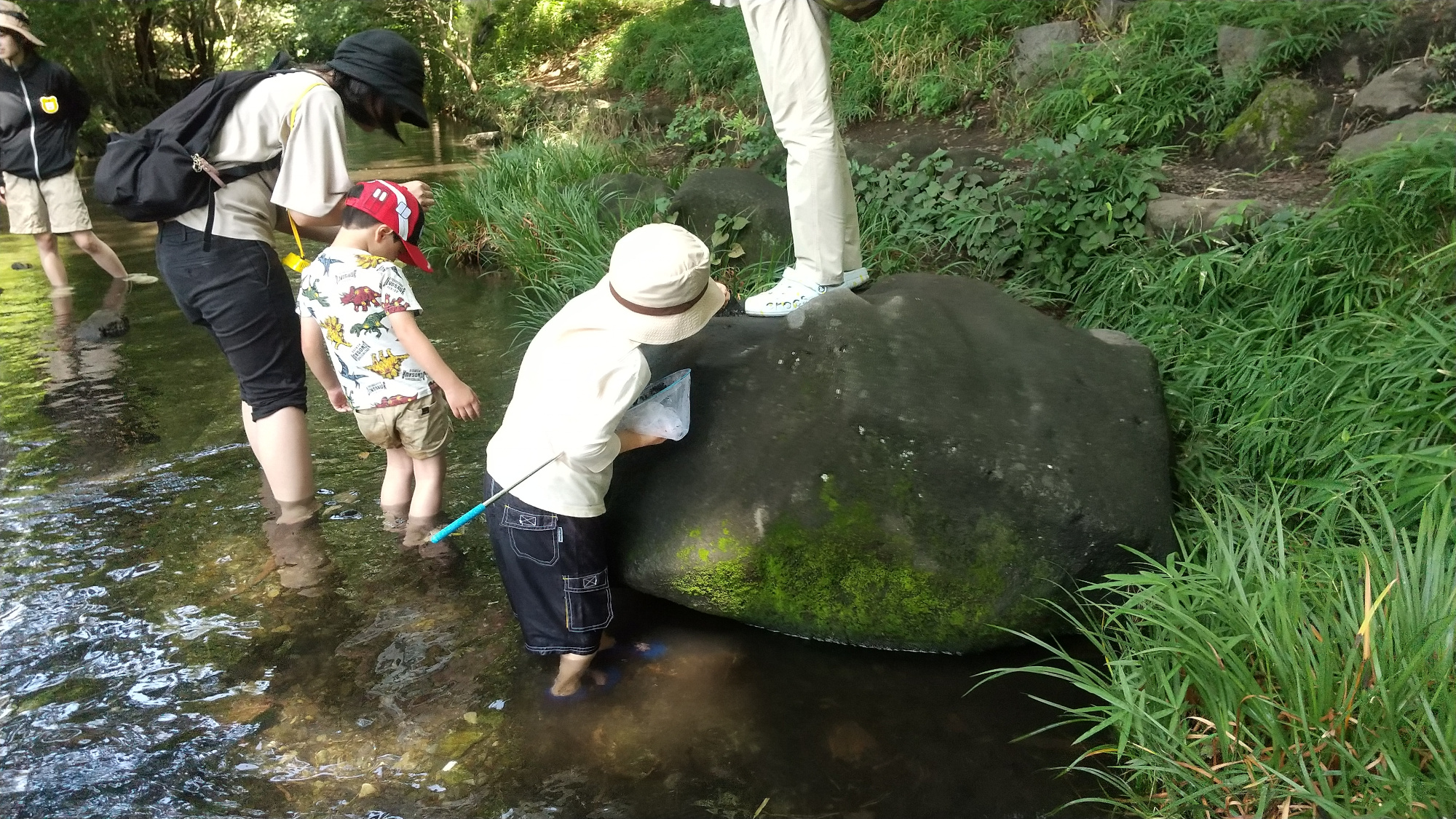 自然物と関わる子どもの様子