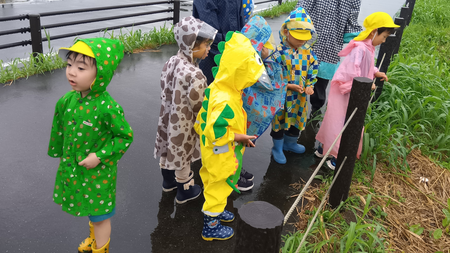 雨の日の散歩を楽しむ子どもたち