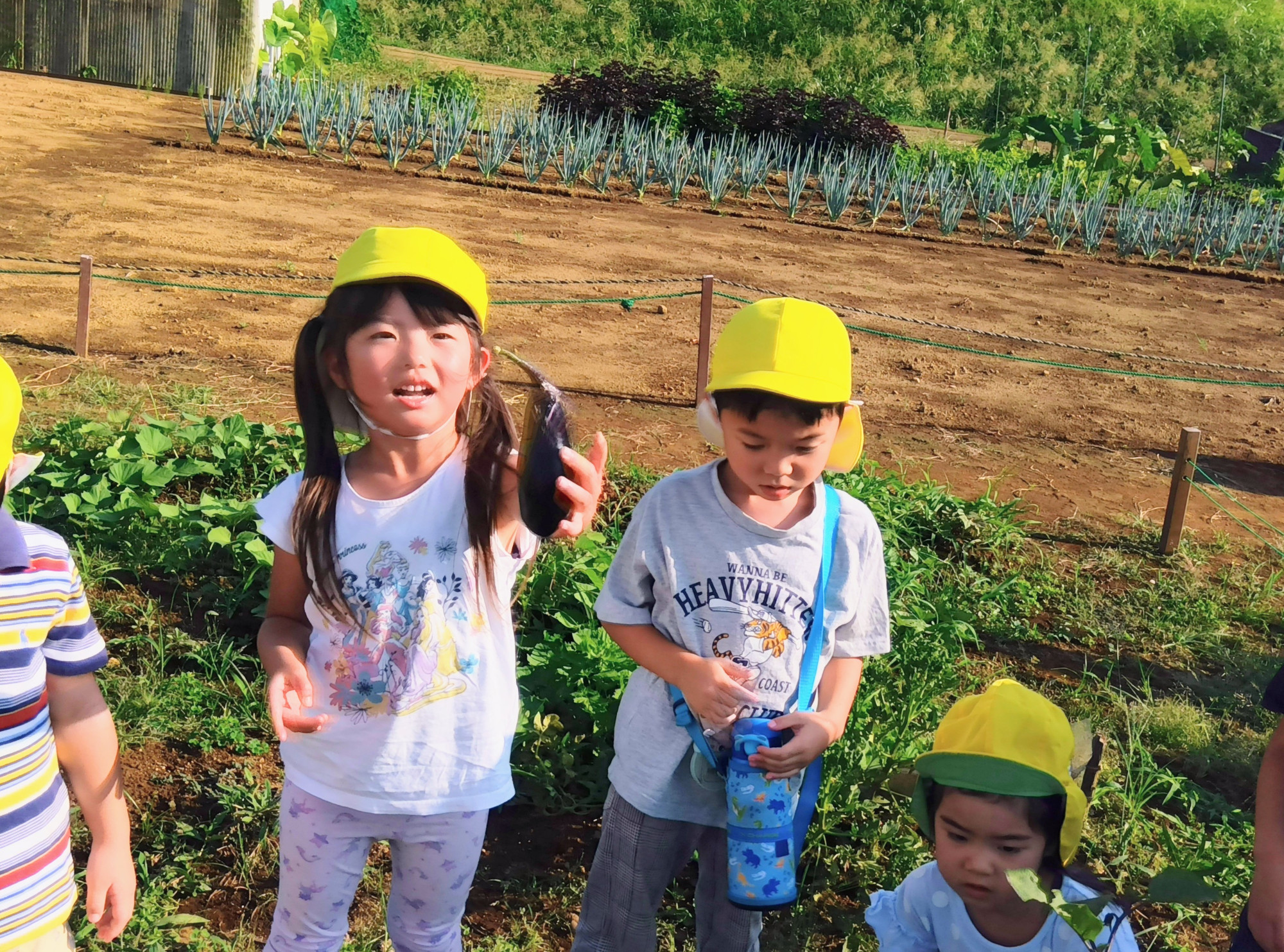 畑でナスを収穫する子どもたち