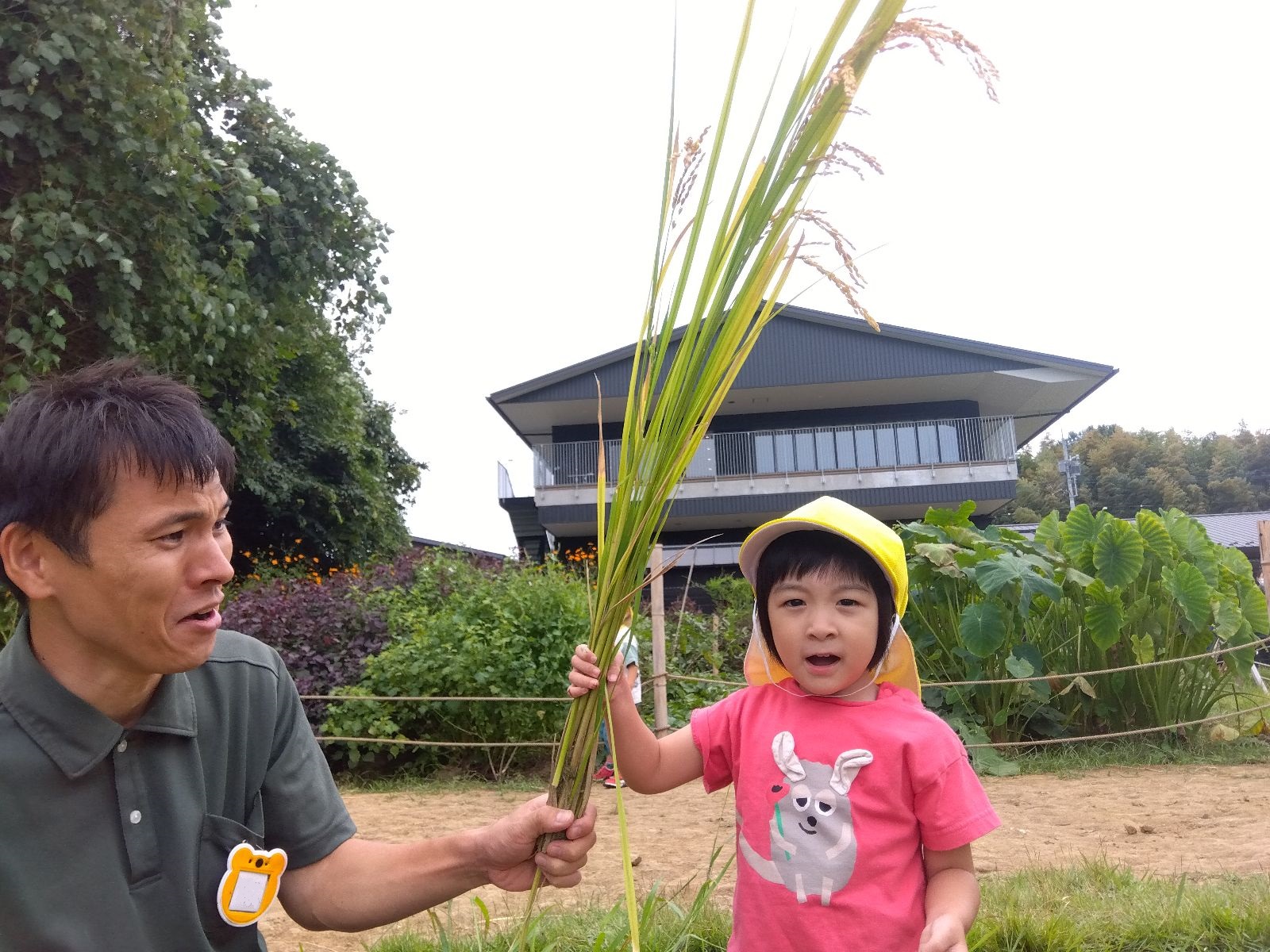 稲刈りをする子どもの様子