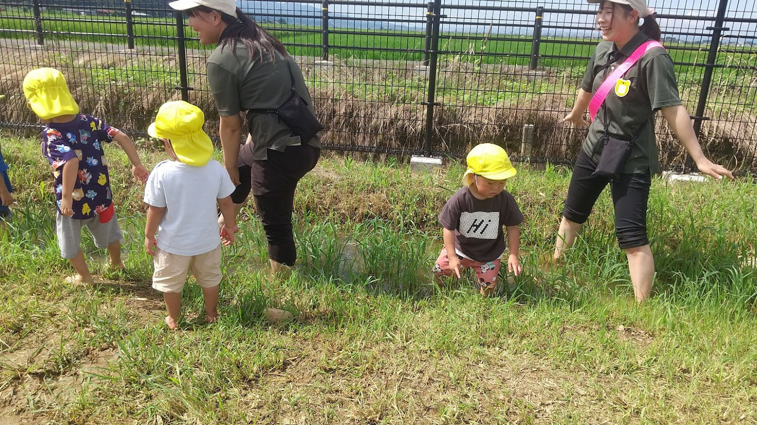 外で遊ぶこどもたち