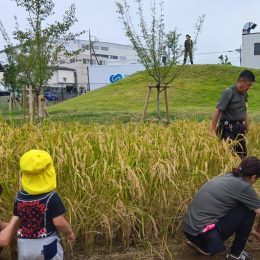 子ども発達支援センターつむぎ 東大和「秋の収穫祭」