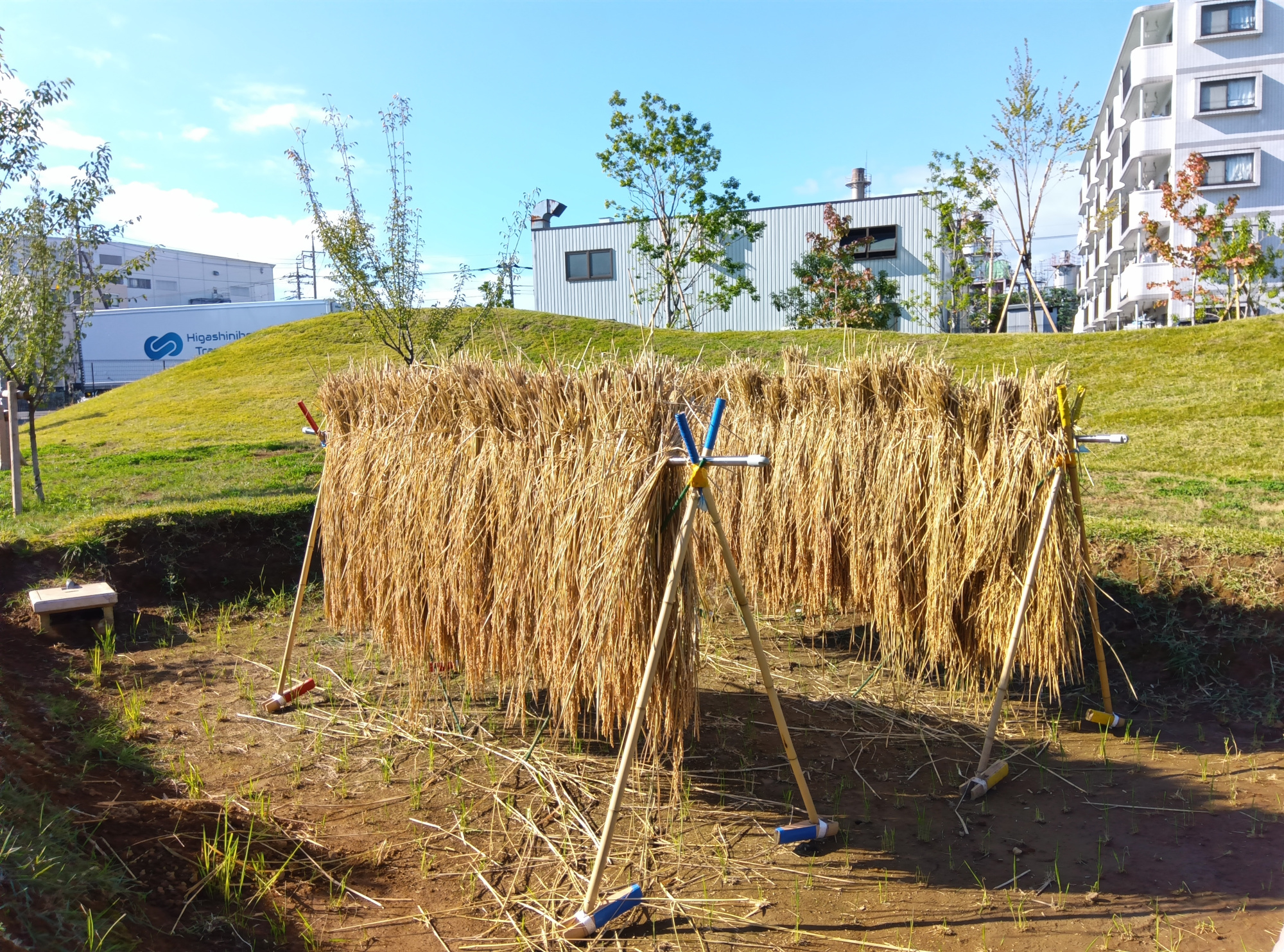 園庭の様子3