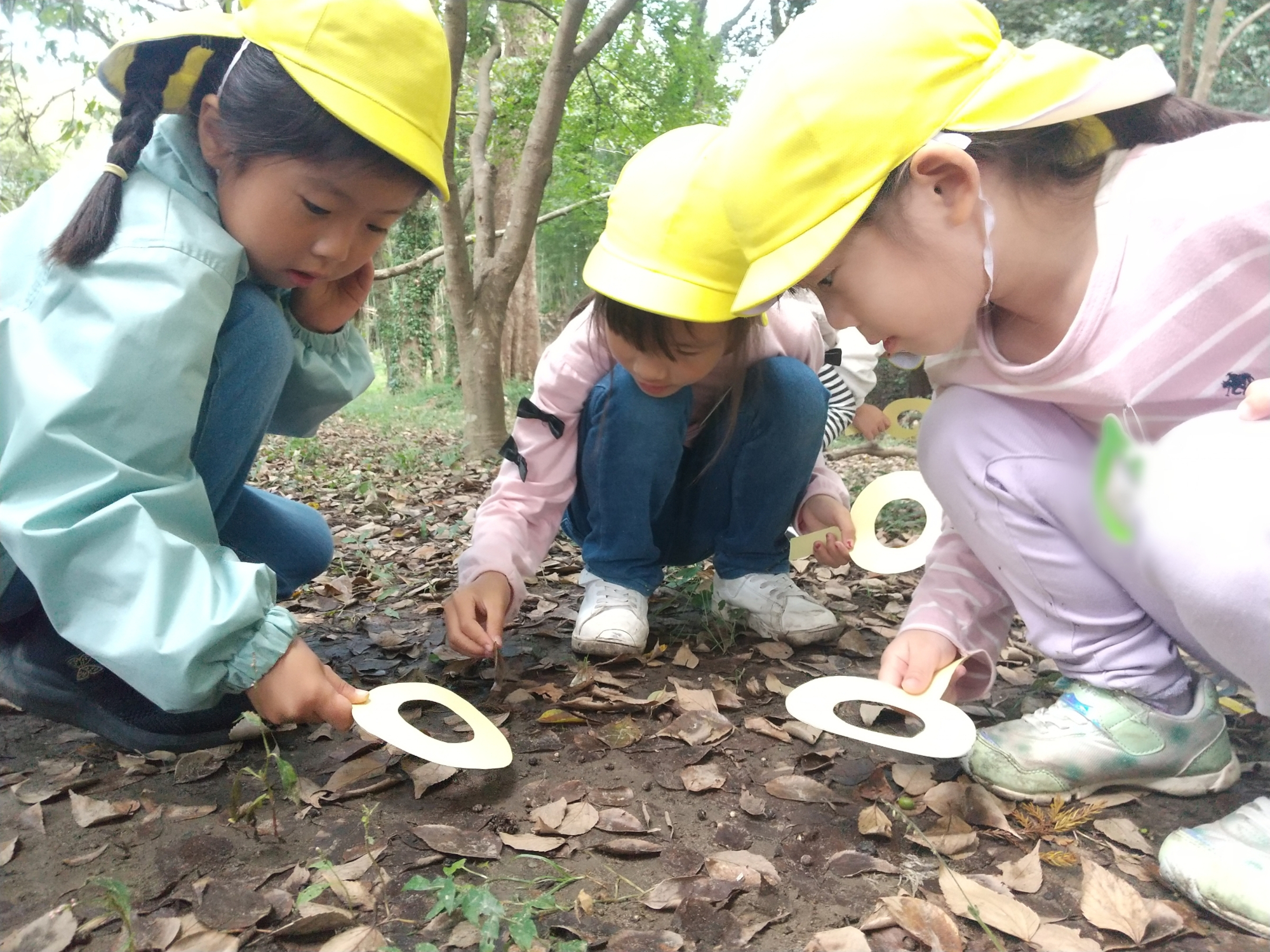 折り紙と同じ色の自然物を探す子どもたちの様子