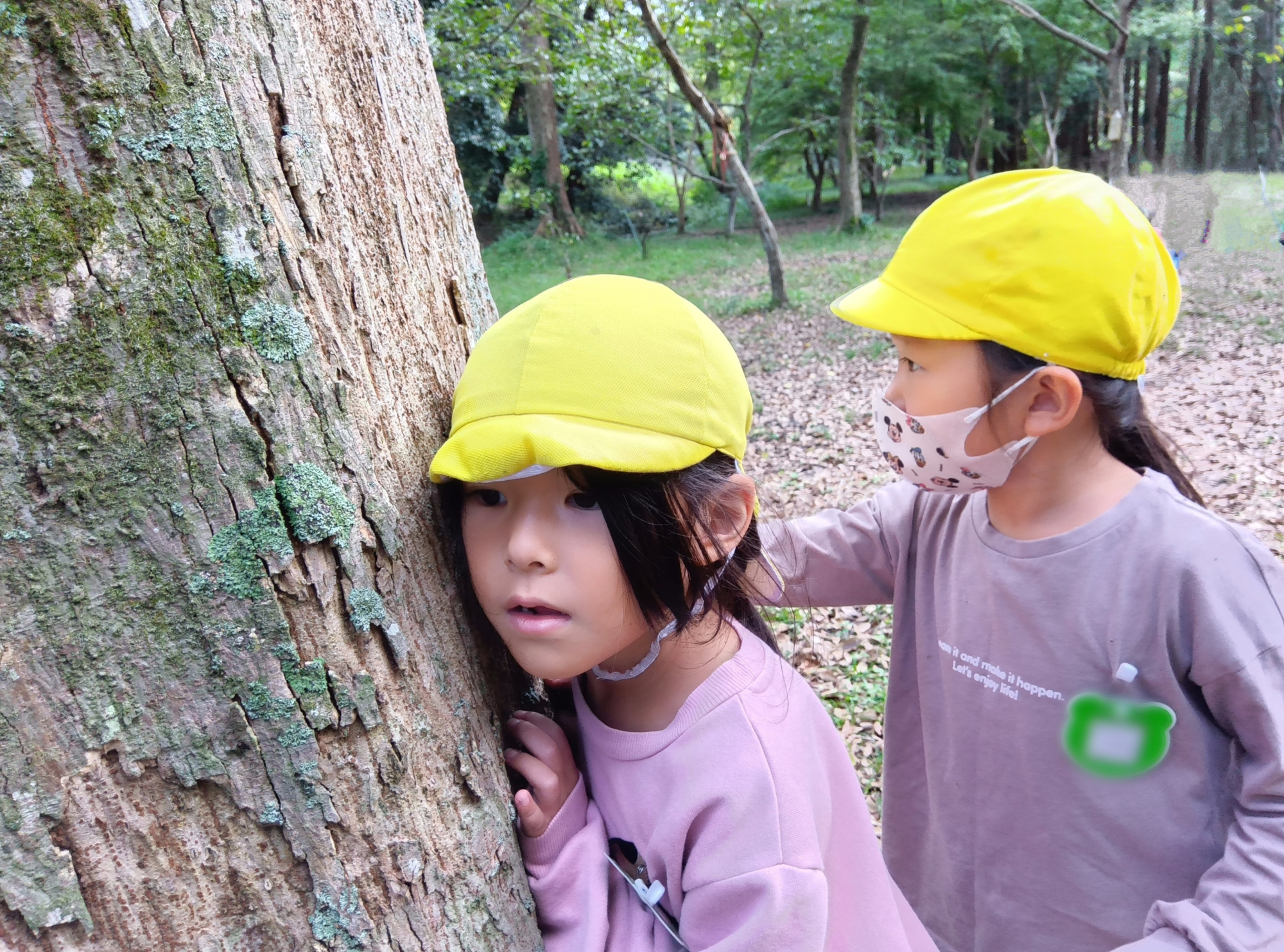 木の幹に耳を当てて音を聞こうとする子ども