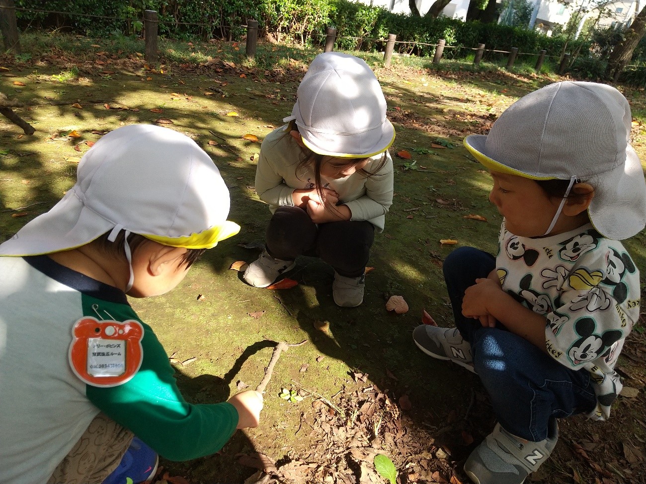 ミミズを観察する子どもたち