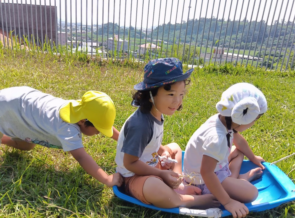 芝生園庭をソリでめいっぱい駆け回る様子