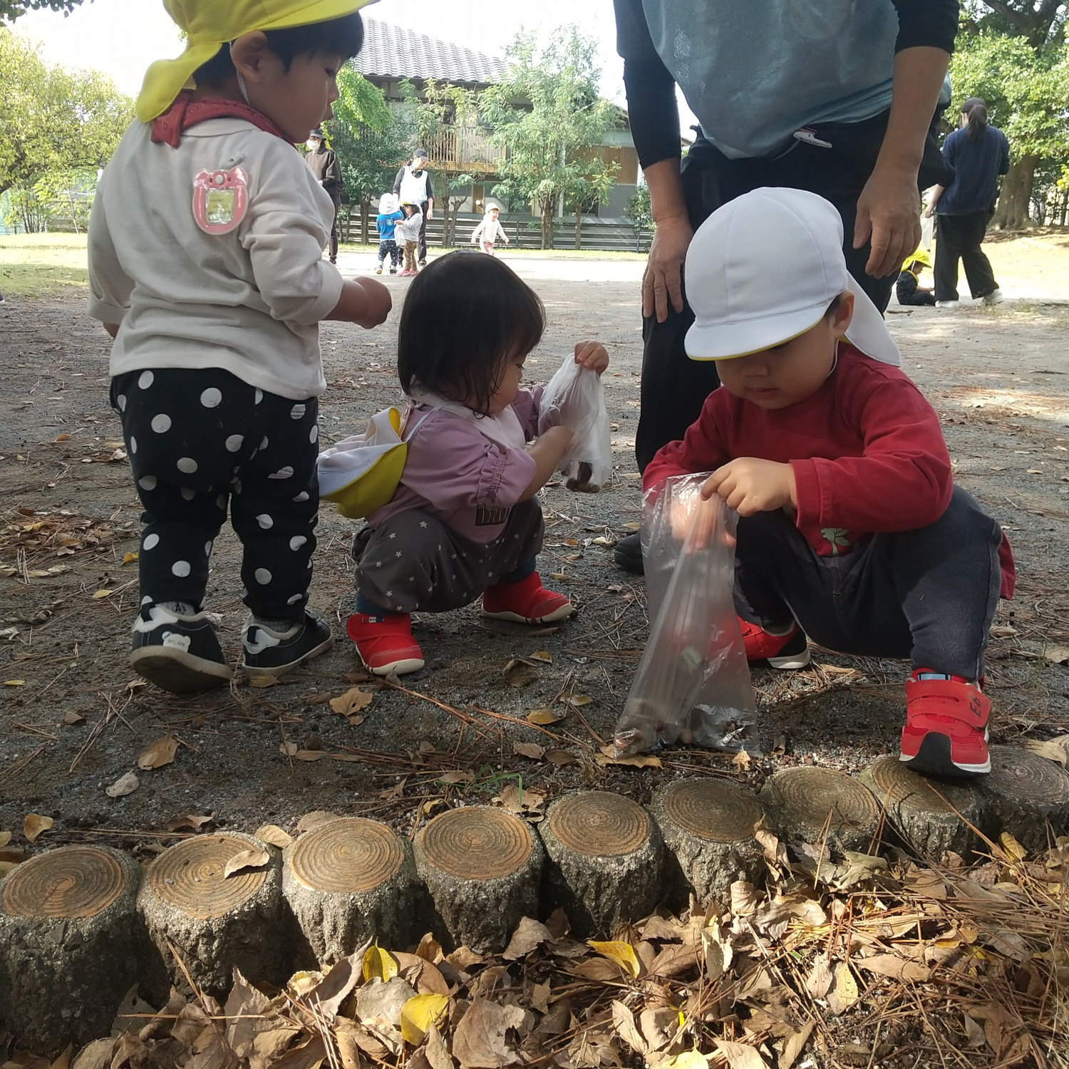 拾った落ち葉や木の実をビニール袋に集める子どもたち