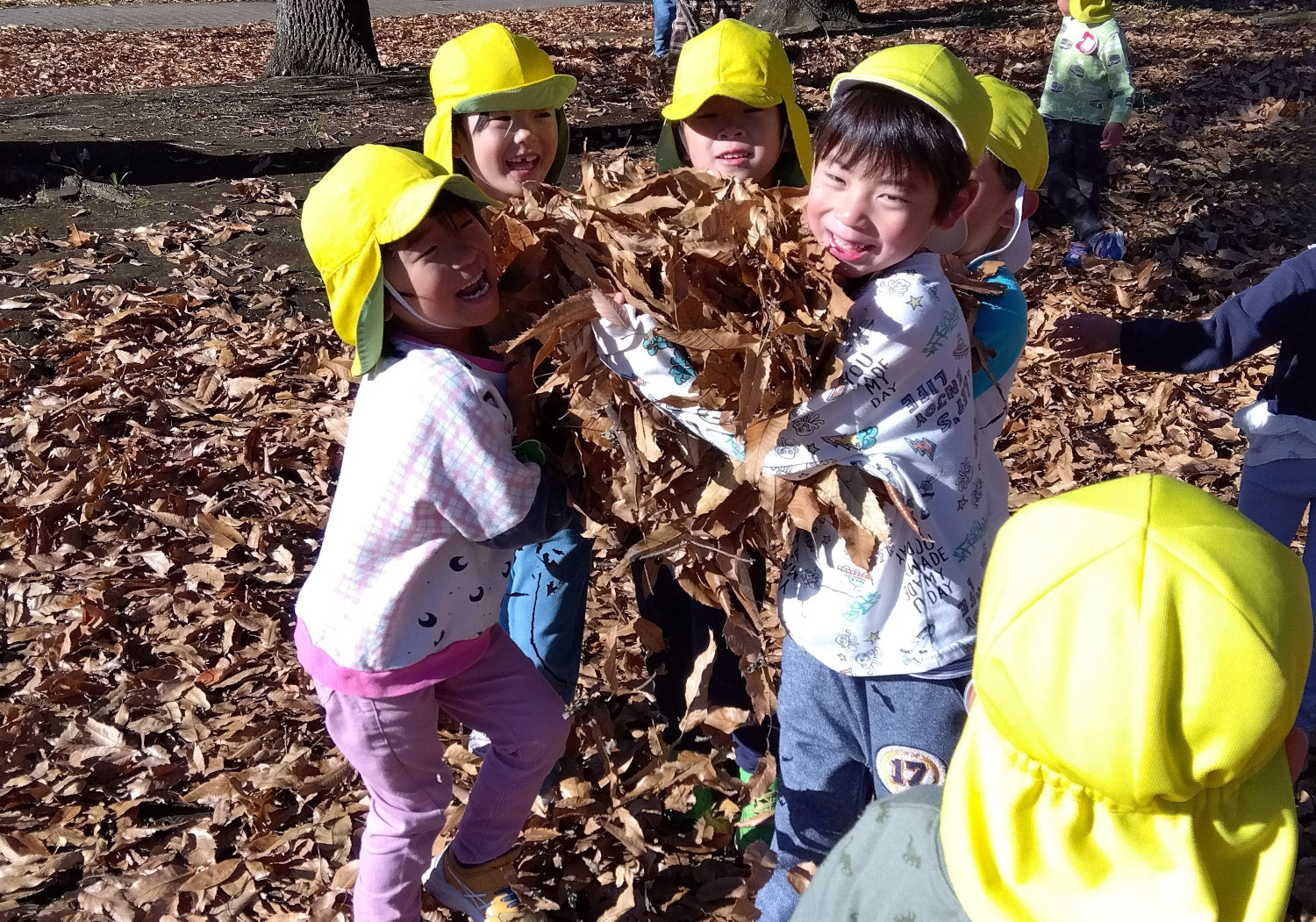 大量の落ち葉を抱える子どもたち