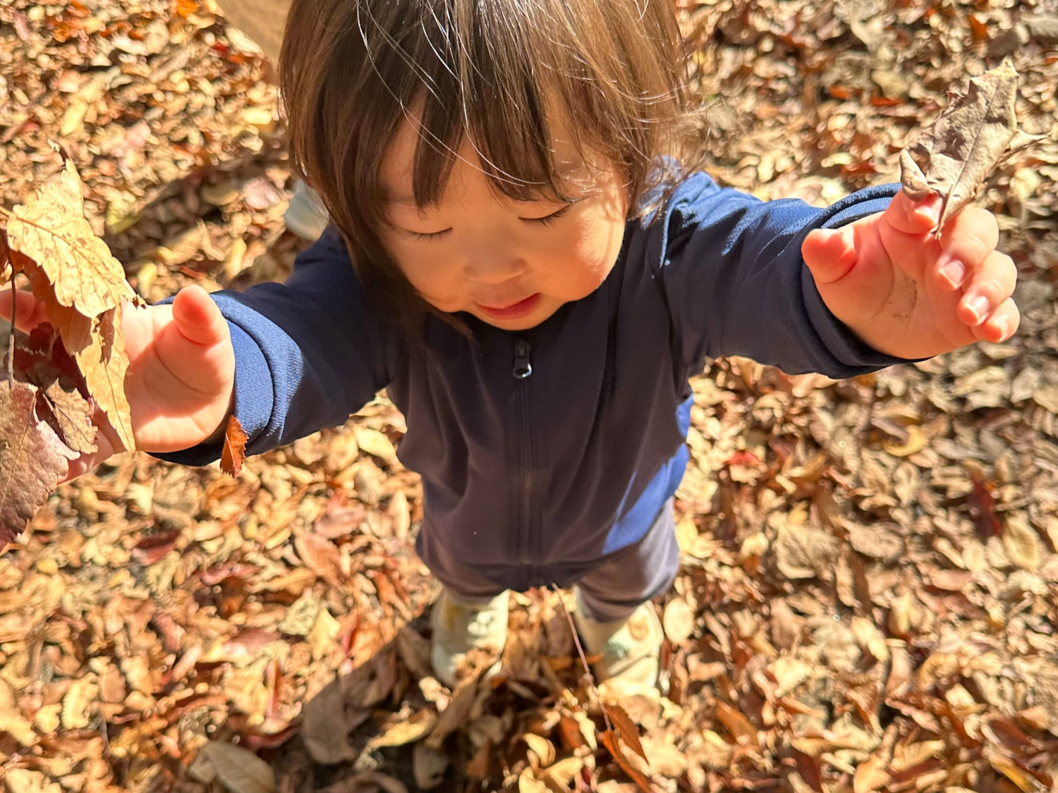 落ち葉で遊ぶ子ども