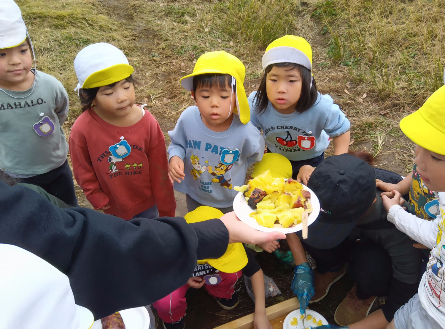 出来上がった焼き芋に興味津々な子どもたち