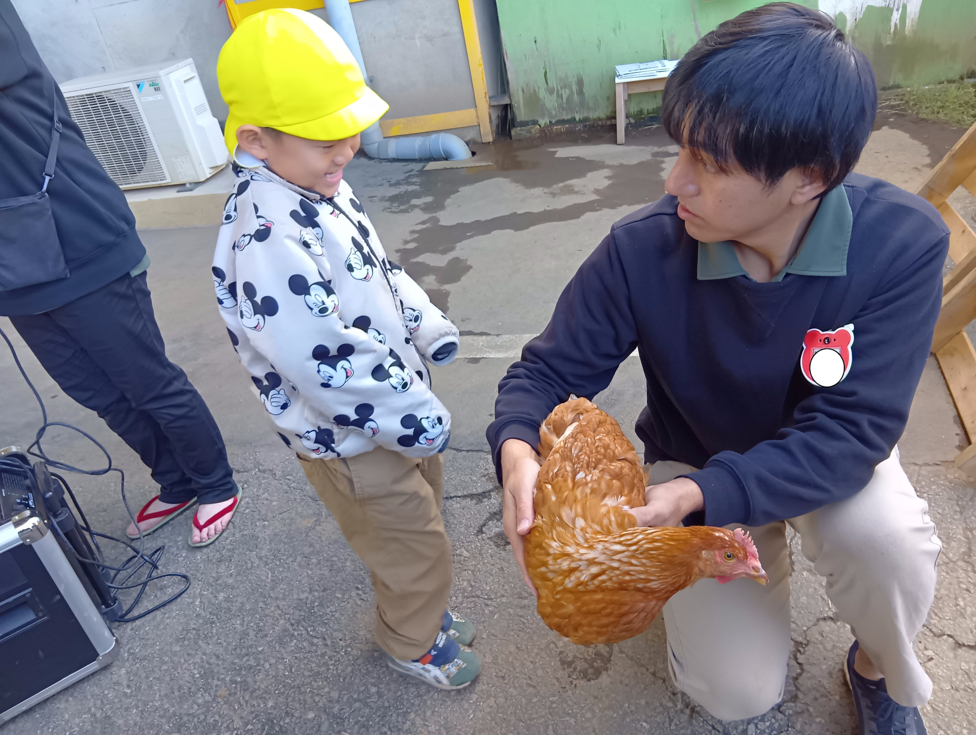 捌く鶏（園庭で飼育している鶏）を見せる様子