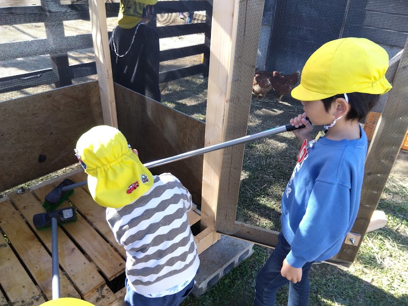 鶏小屋を掃除する子どもたち