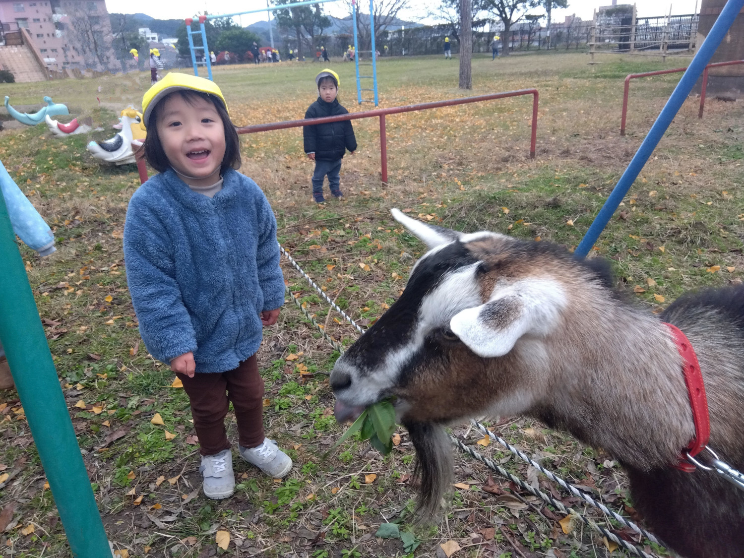 ヤギを見て喜ぶ子ども