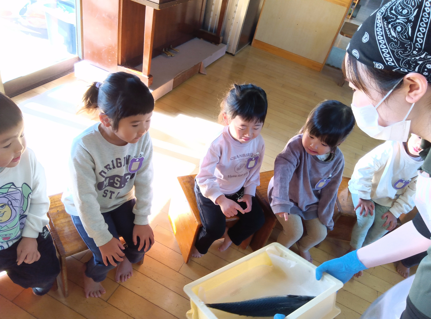 鯖を眺める子どもたち