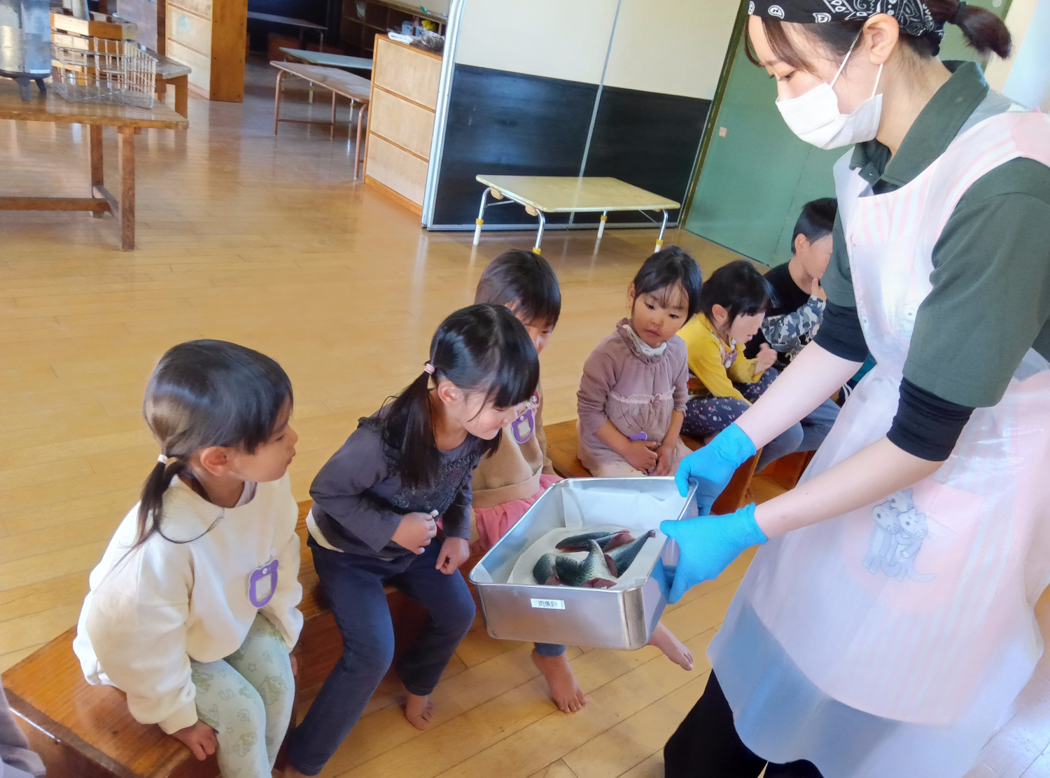 捌かれて切り身になった鯖を見る子どもたち