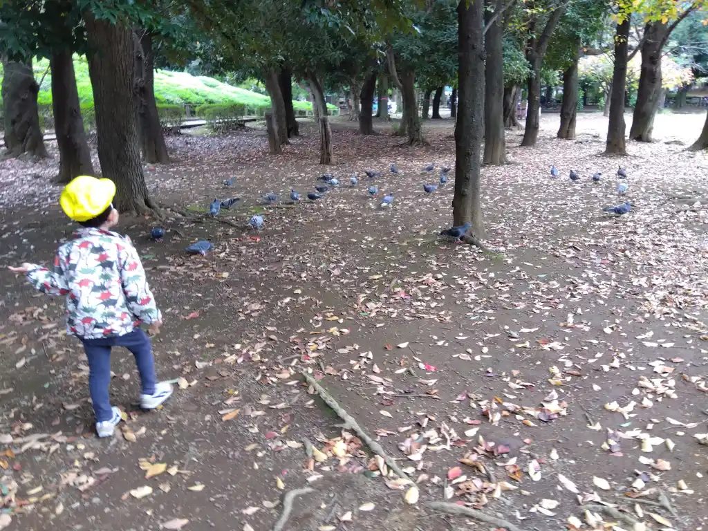 公園で遊ぶ子どもの様子