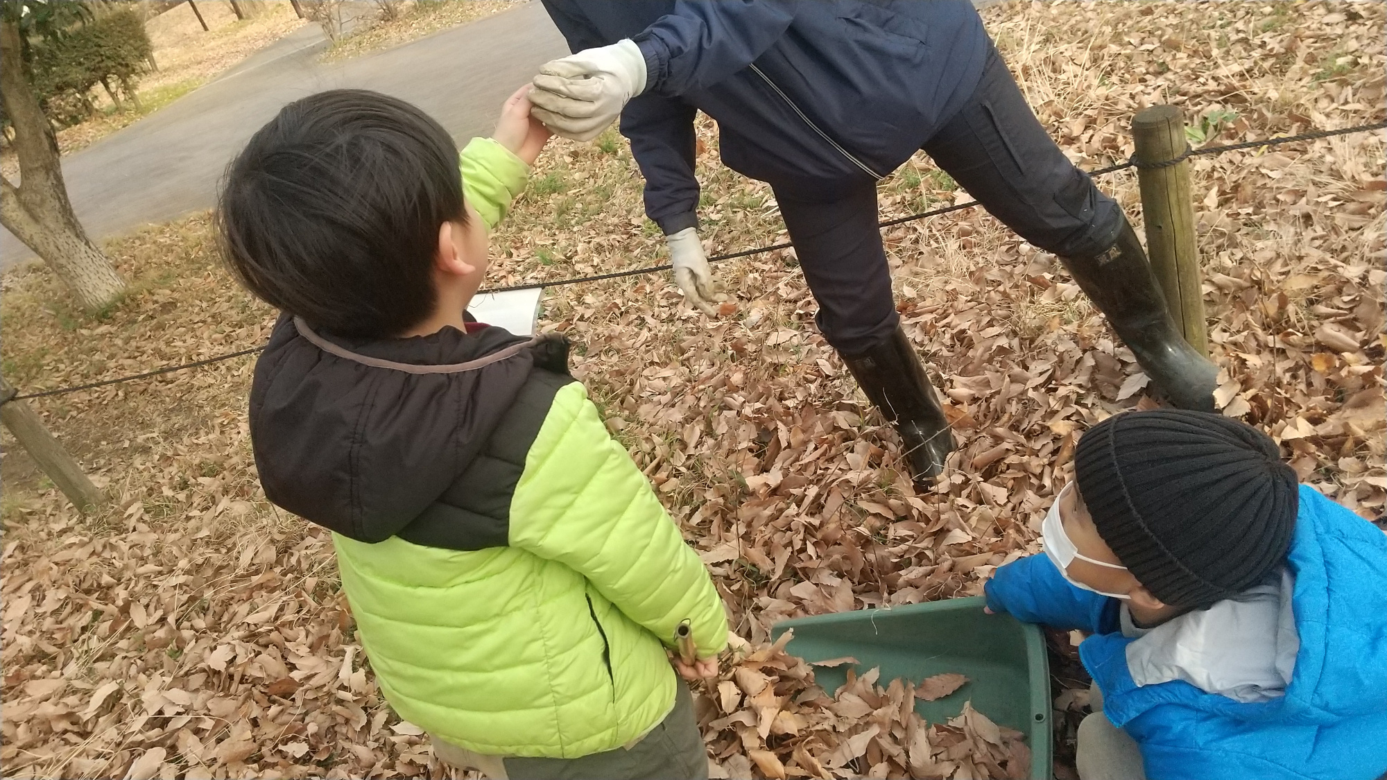 落ち葉かきの様子