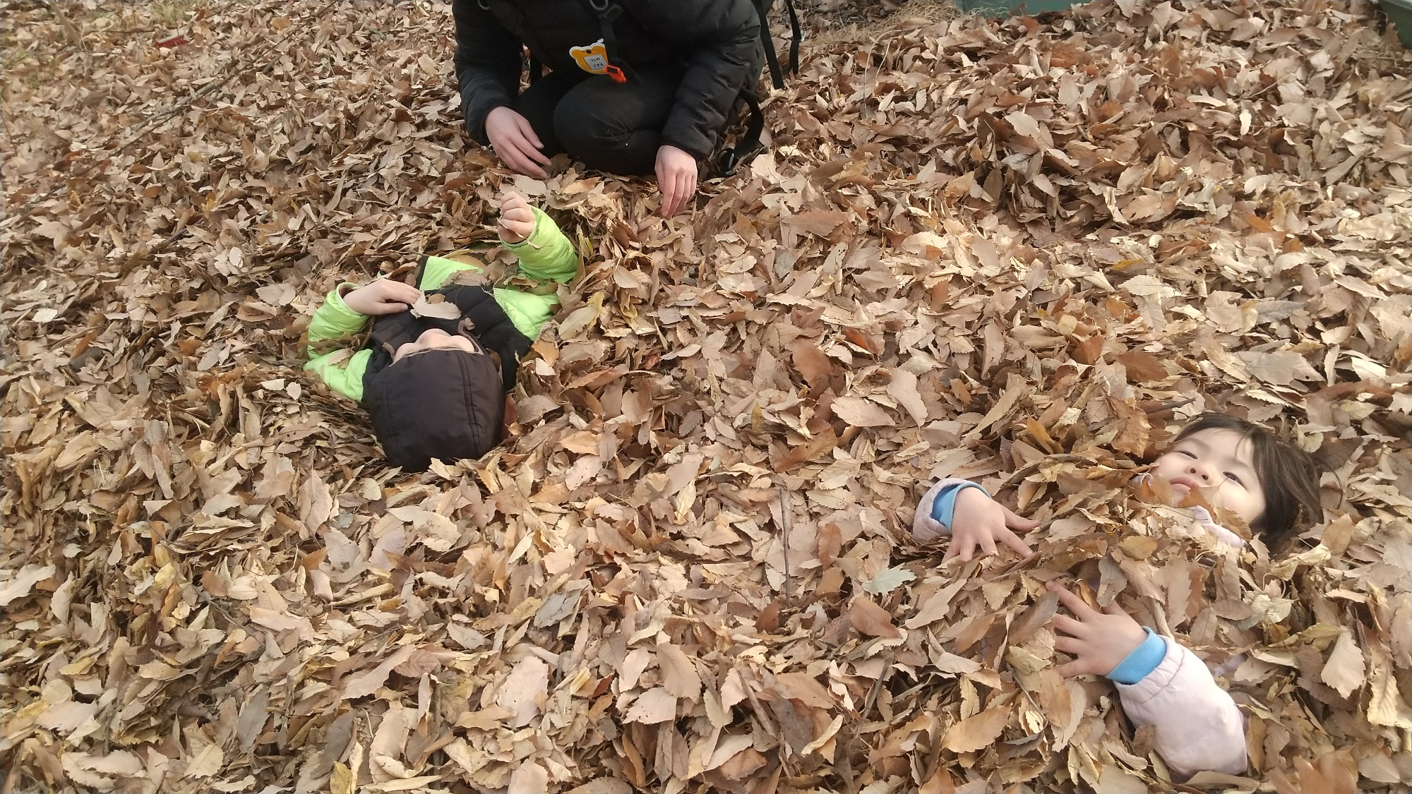 落ち葉に埋まって遊ぶ子どもたち