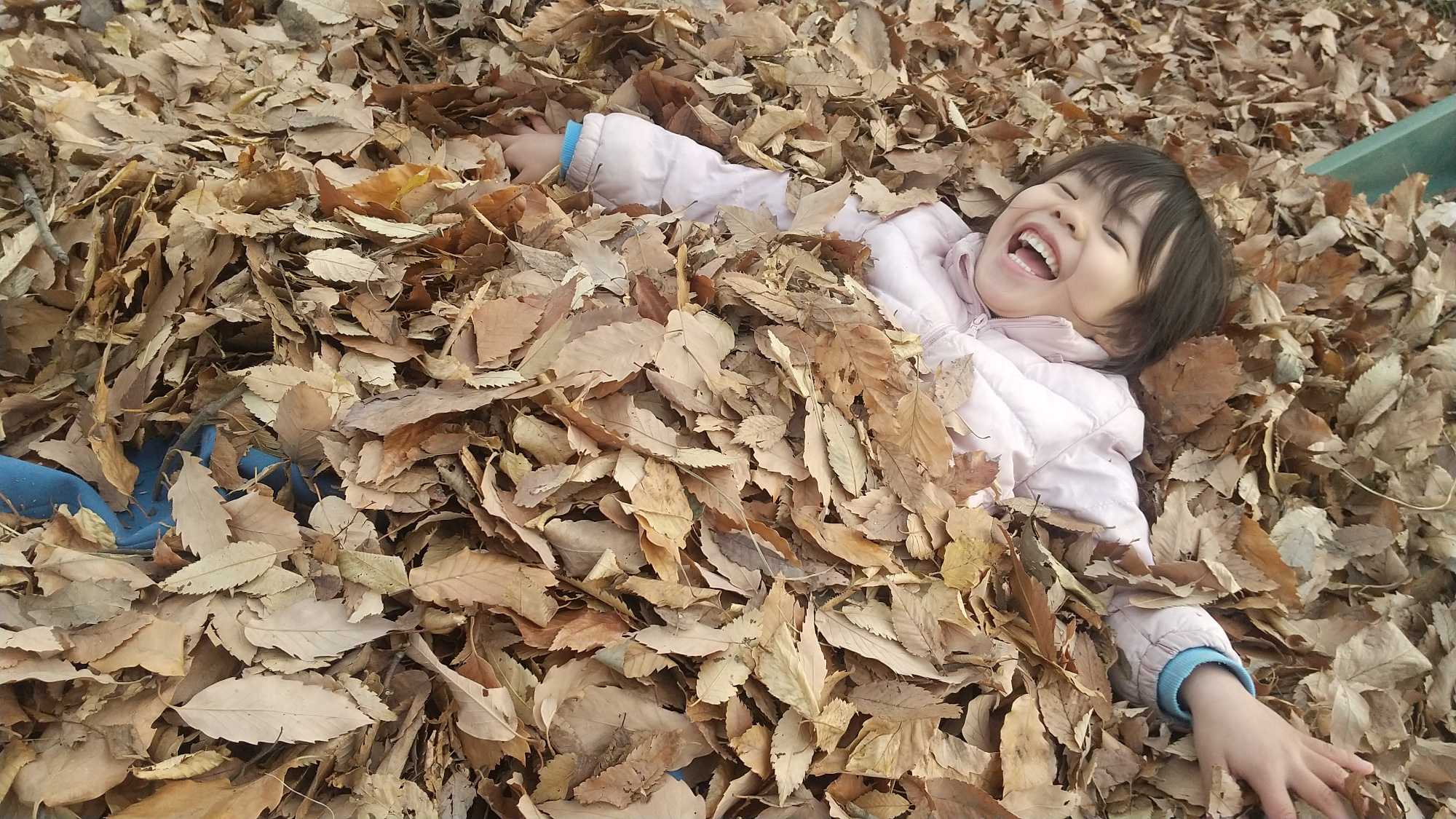落ち葉に埋まって遊ぶ子どもたち