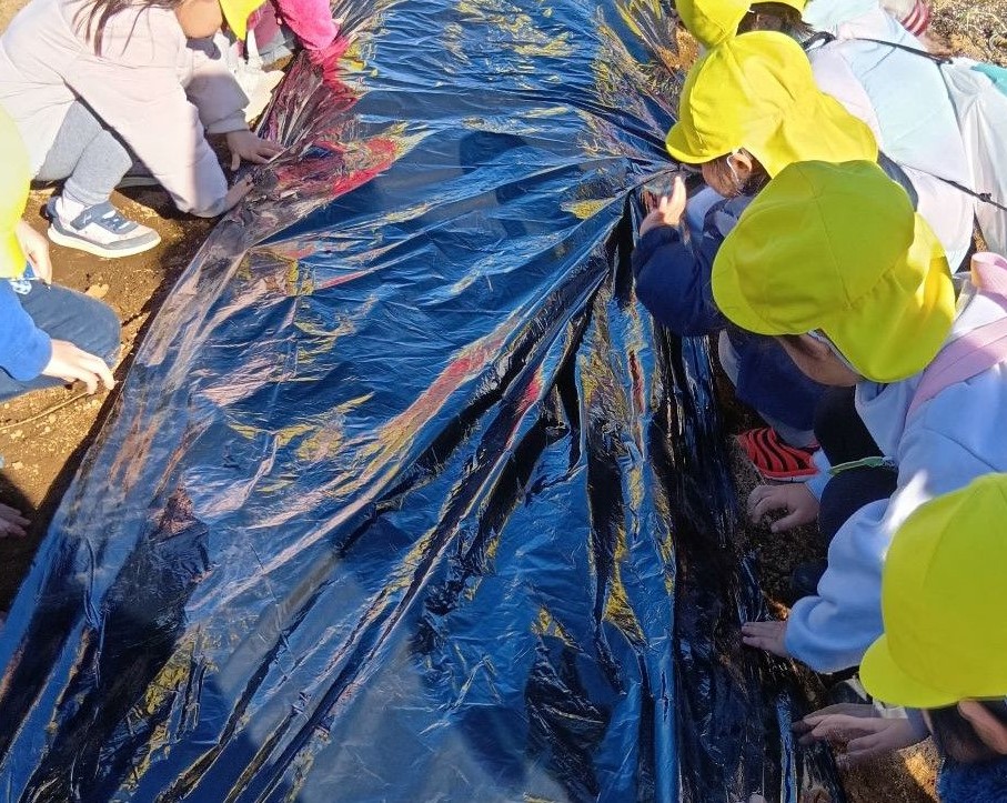 畑仕事に取り組む子どもたちの様子