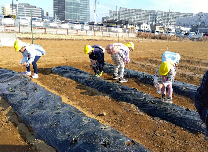 畑仕事に取り組む子どもたちの様子