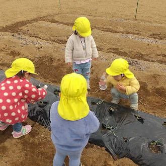 畑仕事に取り組む子どもたちの様子
