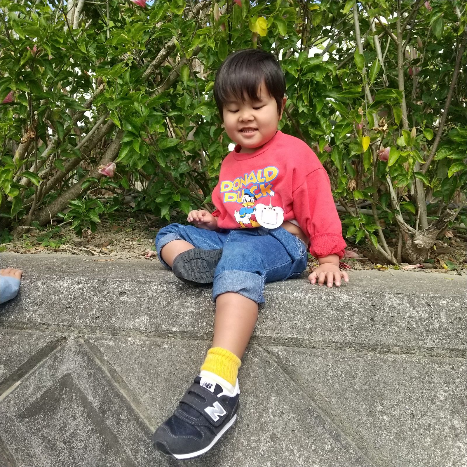 壁を登り切った子ども