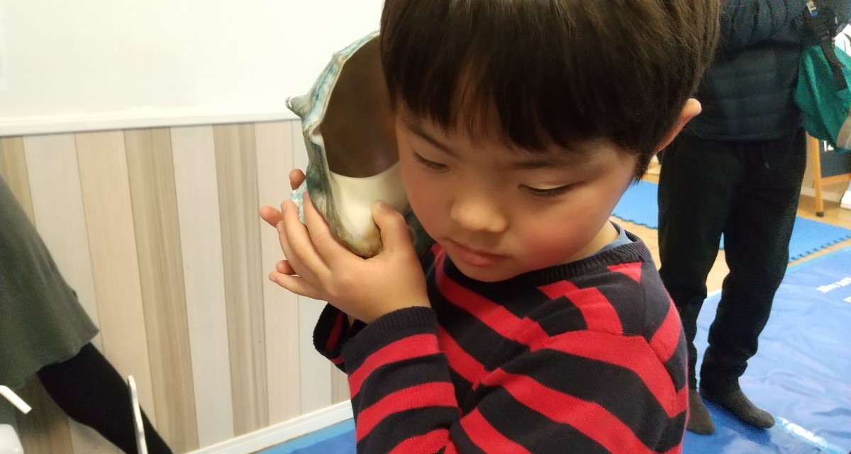 貝殻に耳を当てる子ども