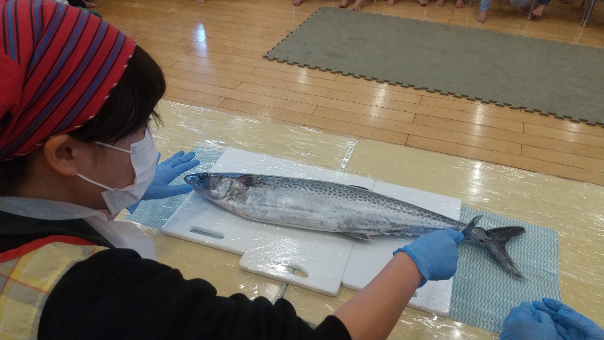 まな板の上に乗せられた魚