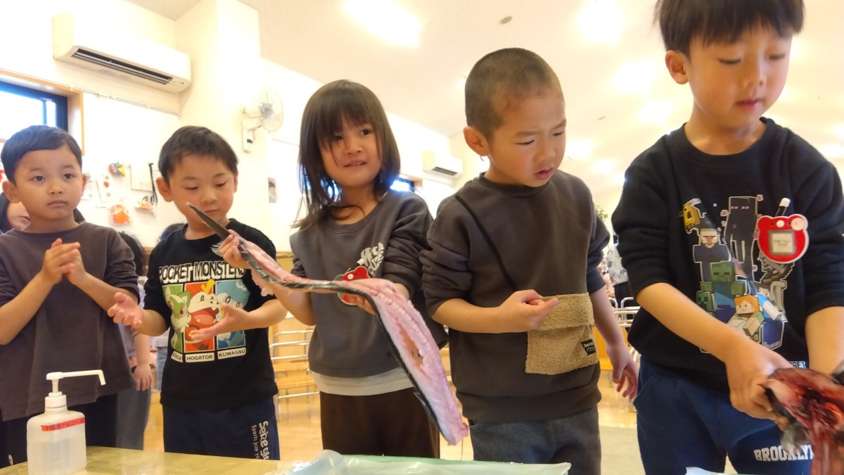 捌いた魚に触れる子どもたち