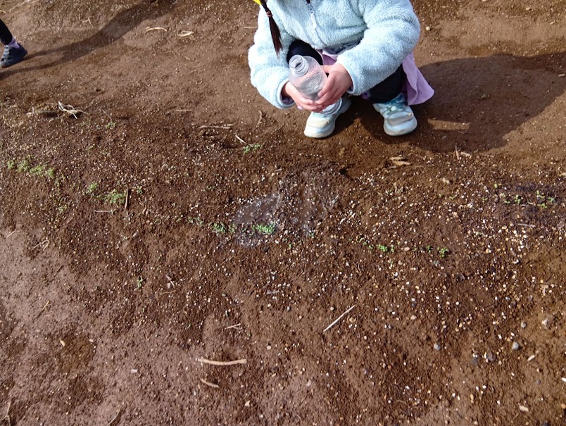 ペットボトルで畑に水をあげる子ども