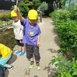 馬場どろんこ保育園「ザリガニ釣りに挑戦」